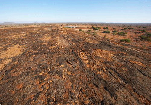 中美貿(mào)易及收儲因素等推動，中重稀土價格大漲！稀土板塊龍頭三連板